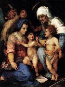 Andrea del Sarto Madonna and Child with St Elisabeth, the Infant St John, and Two Angels France oil painting artist